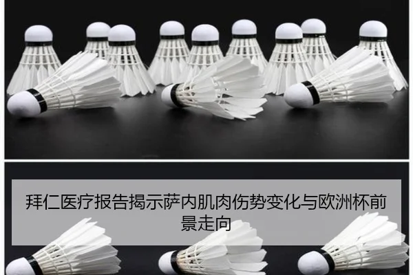 拜仁医疗报告揭示萨内肌肉伤势变化与欧洲杯前景走向
